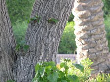 Enlarge photo 23