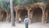 Enlarge photo 23
