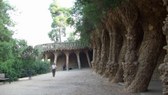 Enlarge photo 24