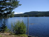 Enlarge photo 19