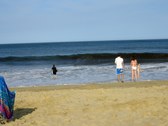 Enlarge photo 10