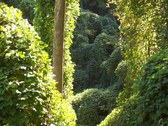 Enlarge photo 10