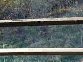 Enlarge photo 38