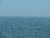 Enlarge photo 41