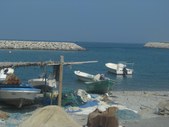 Enlarge photo 43