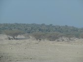 Enlarge photo 51