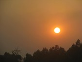 Enlarge photo 52
