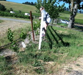 Enlarge photo 18