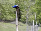 Enlarge photo 19