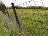 Enlarge photo 21