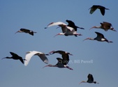 Enlarge photo 19