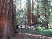 Enlarge photo 17