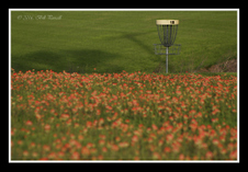 Enlarge photo 33