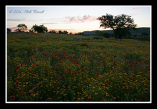 Enlarge photo 34