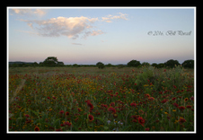 Enlarge photo 35
