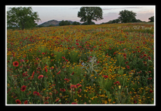 Enlarge photo 36