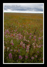 Enlarge photo 44
