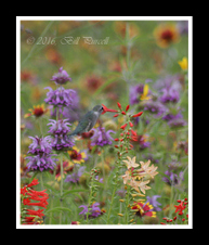 Enlarge photo 46