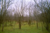 Enlarge photo 27