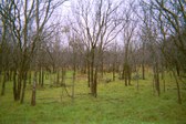 Enlarge photo 28