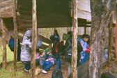 Enlarge photo 48
