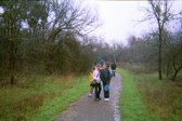 Enlarge photo 54