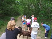 Enlarge photo 53