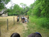Enlarge photo 55