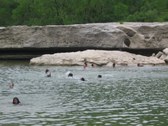 Enlarge photo 74