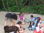 Enlarge photo 85