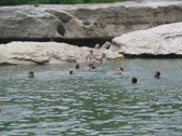 Enlarge photo 88