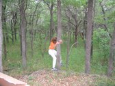 Enlarge photo 108