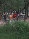 Enlarge photo 117