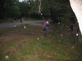 Enlarge photo 168