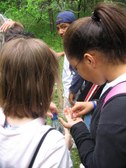 Enlarge photo 36