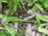 Enlarge photo 37