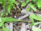 Enlarge photo 38