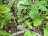 Enlarge photo 39