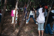 Enlarge photo 29