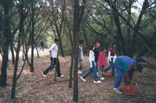 Enlarge photo 8