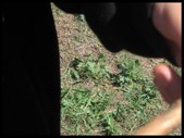 Enlarge photo 33