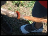 Enlarge photo 34