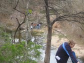 Enlarge photo 42