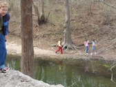 Enlarge photo 41