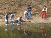 Enlarge photo 40
