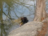 Enlarge photo 39