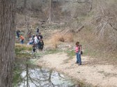 Enlarge photo 37