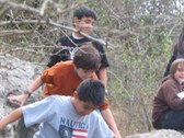 Enlarge photo 30