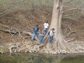 Enlarge photo 28