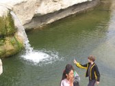 Enlarge photo 10